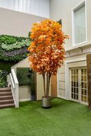 Artificial Bespoke Natural Multi Maple Tree - 400cm, Orange