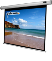 Celexon 1090075 Projektionsleinwand 4:3