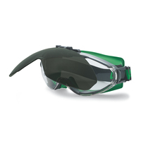 Uvex 9302045 Schutzbrille/Sicherheitsbrille