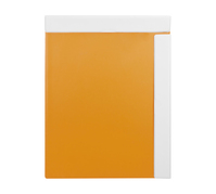 Biella Magnet- Attraction A4 Klemmbrett Kunststoff Orange