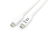 Equip 128362 cavo USB 2 m USB 3.2 Gen 1 (3.1 Gen 1) USB C Bianco