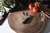 Messermeister Adventure Chef klappbares Campingbesteck Maple