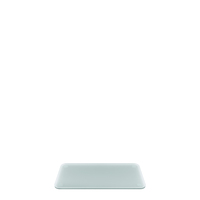 WMF Platte GN 1/3 - Glas satiniert QUADRO | Maße: 33,5 x 19 x 2,5 cm