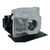 OPTOMA THEMESCENE HD80 Module de lampe de projecteur (ampoule compatible &agrave