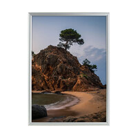 Poster Frame / Aluminium Picture Frame / Picture Frame "Gallery Fine" in Aluminium | A4 (210 x 297 mm) 220 x 307 mm 201 x 288 mm