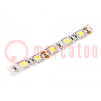 LED strips; koud wit; 5050; 12V; LED/m: 60; 10mm; IP20; 120°; 14,4W/m