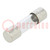 Fuse: fuse; quick blow; 1A; 250VAC; cylindrical,glass; 5x20mm; 5MF