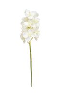 Artificial Silk Vanda Orchid - 53cm, White