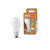 LEDVANCE 4099854009570 ampoule LED Blanc chaud 3000 K 2,2 W E27 A