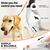 BLUZELLE 26ft Retractable Leash for Dogs up to 110lbs, Bright Neon Orange Reflector Nylon Belt with 360° Snap Hook Metal, Reliable Braking System One-Hand Operation Ergonomic Ru...