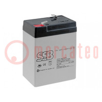 Re-battery: acid-lead; 6V; 5Ah; AGM; maintenance-free; 70x47x101mm