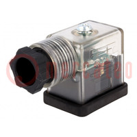 Connector: valve connector; plug; form B; 11mm; female; PIN: 3; mPm