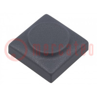 Button; rectangular; grey; polyamide; 18.3x18.3mm