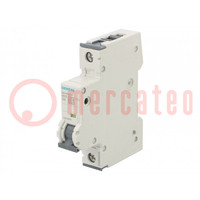 Circuit breaker; 230/400VAC; Inom: 2A; Poles: 1; Charact: D; 10kA