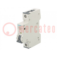 Installatieautomaat; 230/400VAC; Inom: 2A; Polen: 1; op DIN-rail