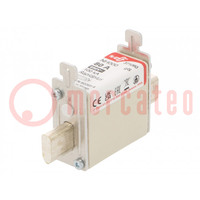 Fuse: fuse; gS; 80A; 690VAC; 440VDC; NH000