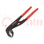 Pliers; adjustable,Cobra adjustable grip; Pliers len: 250mm