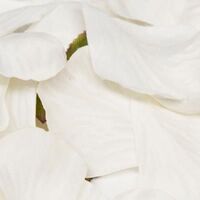 Artificial Silk Eleganza Rose Petal in a Bag - White