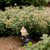 Relaxdays 10043387 Gartenfigur