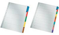 LEITZ Intercalaires en carton mylar, blanc, A4, gris, 10 (80432100)