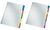 LEITZ Intercalaires en carton mylar, blanc, A4, gris, 5 (80432000)