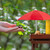Relaxdays Eichhörnchen Tisch, Bausatz, Holz, Eichhörnchenbank mit Schirm & Maiskolbenhalter, zum Aufhängen, braun/rot