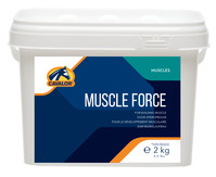 Muscle Force Versele-Laga 2 kg (1 Stück), Detailansicht