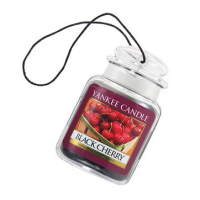 Yankee Candle 1221000E Luftpflege Auto