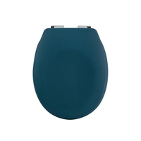 Spirella 10.21301 Toilettensitz Harter Toilettensitz ABS, Duroplast Petrol colour