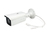 LevelOne FCS-5092 bewakingscamera Rond IP-beveiligingscamera Binnen & buiten 3200 x 1800 Pixels Muur