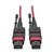 Tripp Lite N845-02M-12-MG Cable Patch Multimodo MTP / MPO, 12 Fibras, 40GbE / 100GbE, 40/100GBASE-SR4, OM4 Especificacion Plenum (H/H), Lengueta Push / Pull [Oprimir / Jalar], M...