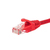 Netrack BZPAT1P5UR kabel sieciowy Czerwony 1,5 m Cat5e U/UTP (UTP)