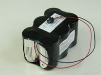 Unité(s) Batterie alcaline 6x D 6S1P ST2 F150 9V 19.76Ah JST