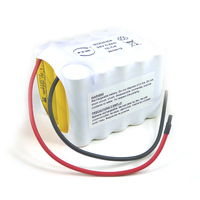 Pack(s) Batterie Nicd 20x AA 20S1P ST2 24V 700mAh F150