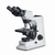 Phasenkontrastmikroskope OBL 14/15 | Typ: OBL 146