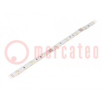 LED strips; RGB; 5060; 12V; LED/m: 30; 10mm; witte PCB; IP67; 120°