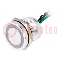 Switch: piezoelectric; Pos: 2; SPST-NO; 0.2A/24VAC; 0.2A/24VDC