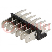 Connector: connector strip; 6,3mm; 0,8mm; THT; messing; vertind