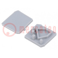 Cap for LED profiles; silver; 10pcs.