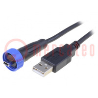 Adapter cable; USB A plug,USB B mini plug (sealed); 2m; IP68