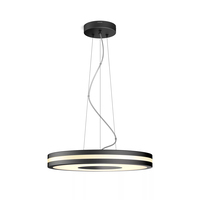 Philips Hue White ambience Being pendant light