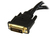 StarTech.com Câble répartiteur en Y / Splitter DVI (M) vers DVI (F) / VGA (F) de 20cm pour terminal Wyse