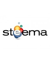 Steema TeeChart Pro VCL/FMX 5 Developer 1Y EN WIN RNW MNT