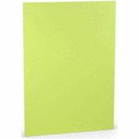 Briefpapier A4 160g/qm VE=10 Blatt Maigrün