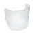 V-GARD PROPIONATE MLD VISOR CLEAR L