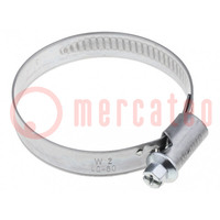 Worm gear clamp; 40÷60mm; steel; Plating: zinc