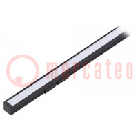 Profilo per moduli LED; latteo; nero; L: 1m; SMART10; alluminio