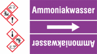 Rohrmarkierungsband mit Gefahrenpiktogramm - Ammoniakwasser, Violett, B-7541