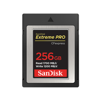 SanDisk SDCFE-256G-GN4NN flashgeheugen 256 GB CFexpress