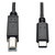 Tripp Lite U040-006 USB Kabel 1,83 m USB 2.0 USB B USB C Schwarz